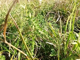 amateur strand volwassen natuurlijk naakt